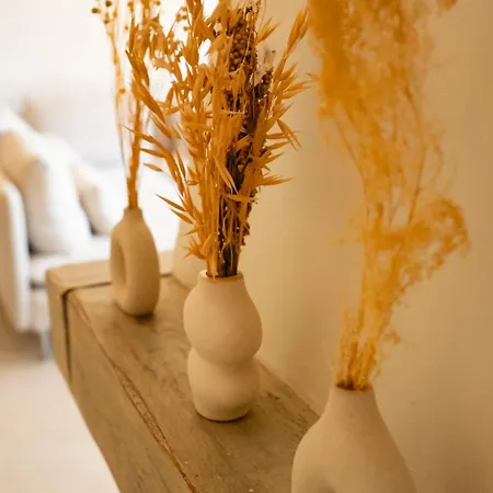 公寓 New Appt Boheme - 100m2 6 Pers Avec Terrasse 圣特罗佩